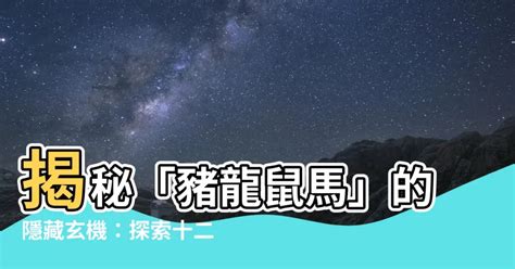 豬龍鼠馬什麼意思|生肖纪年